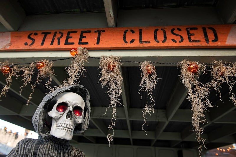 Super Moss (26956) Preserved Spanish Moss – Decorative Moss for Crafts, Potted Plants, Fairy Gardens, Vase Filler, Floral Arrangements & Indoor/Outdoor Garden Projects, 120 Cu in, Coffee - Image 3